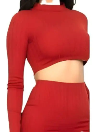 Sexy Ribbed Crop Tee &amp; Thigh Skirt Set